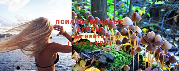 метадон Осташков