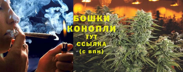 метадон Осташков
