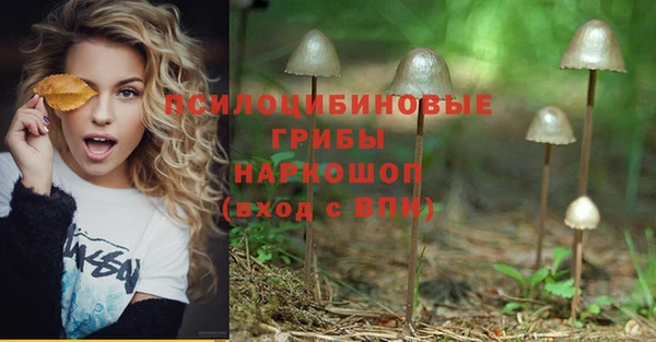 метадон Осташков
