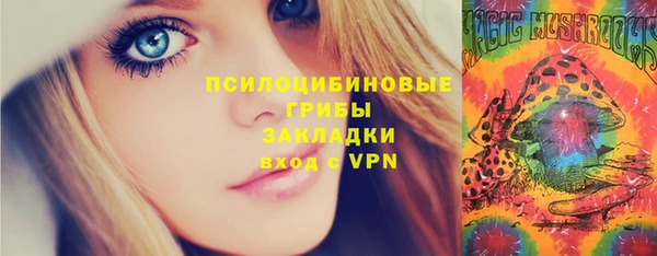 метадон Осташков