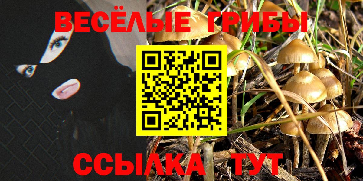 Псилоцибиновые грибы мухоморы Сургут