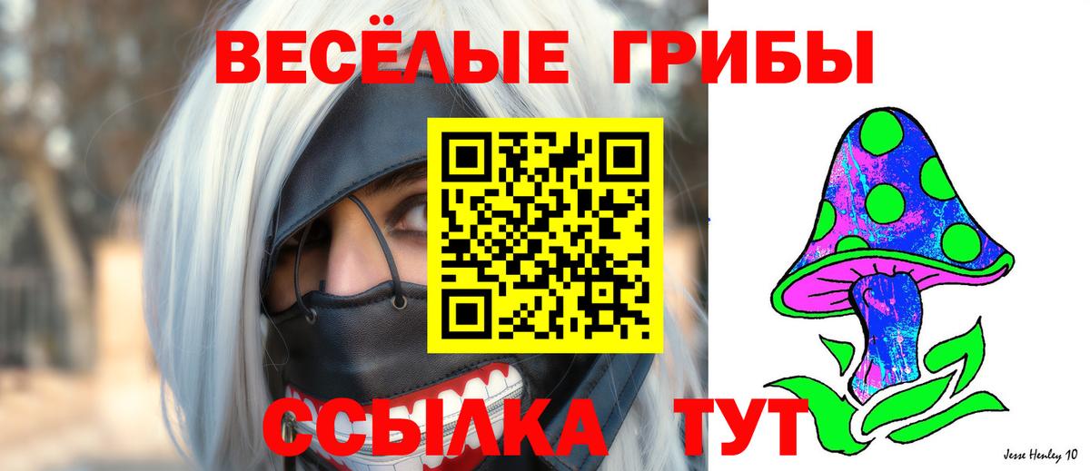 Сургут  Галлюциногенные грибы Psilocybe  Вход с VPN 