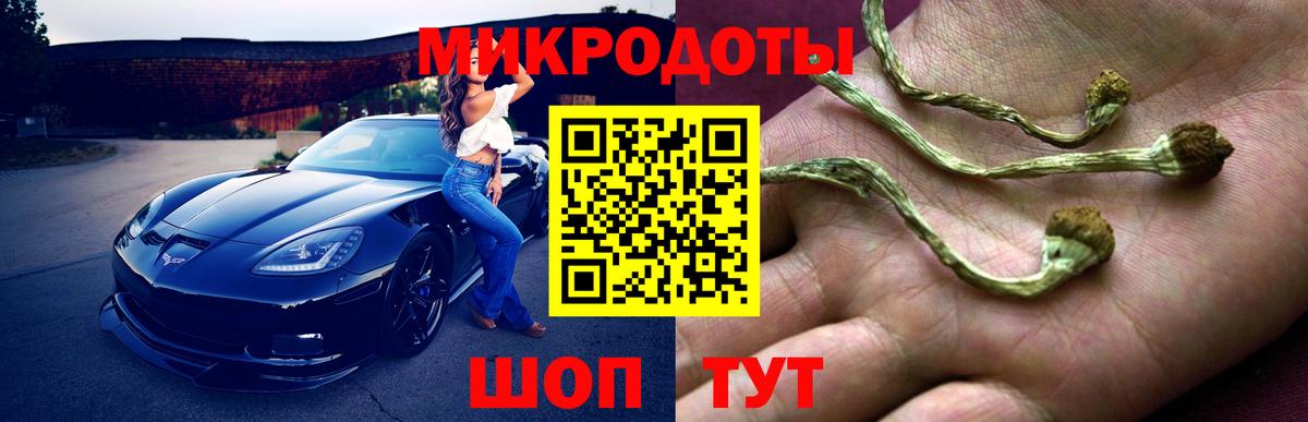 Псилоцибиновые грибы Cubensis  Сургут 